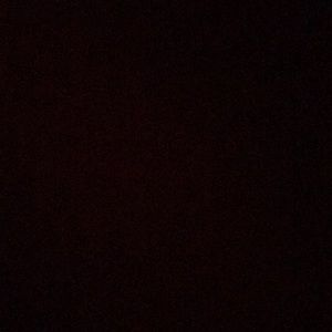 Meet your Posher, Ella